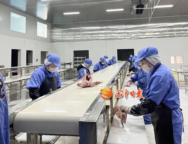 巴中“全”拼图 | 按下“快进键” 奋战“开门红”——预包装食品产业跑出加速度
